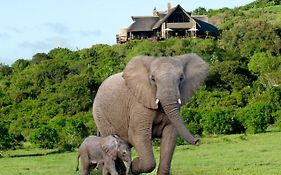 Hopewell Private Game Reserve