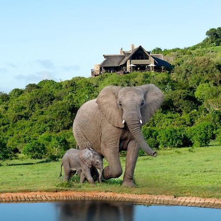 Hopewell Private Game Reserve Buyskloof Exterior foto