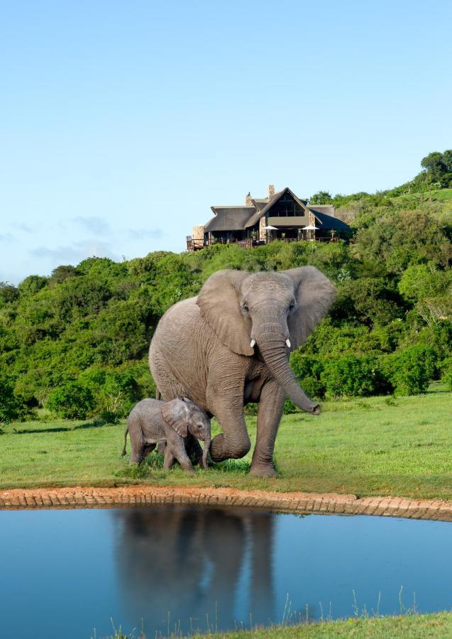 Hopewell Private Game Reserve Buyskloof Exterior foto